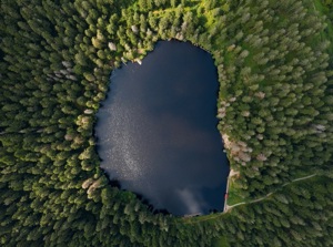 Ferienwohnungen und Ferienhäuser im Schwarzwald